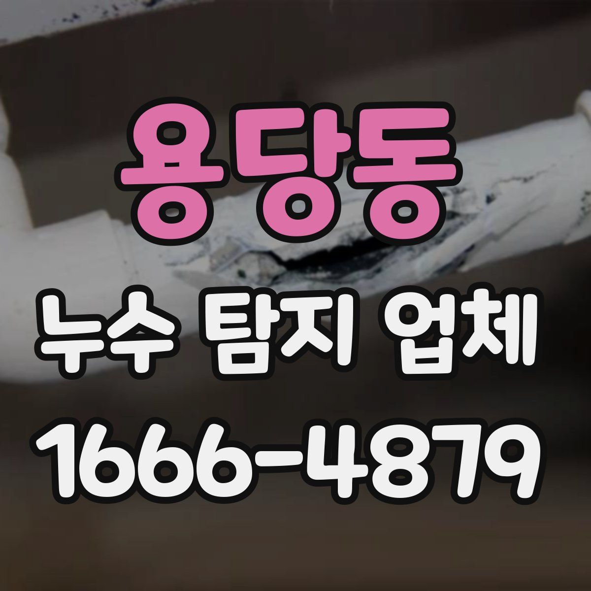 용당동 누수 탐지 업체