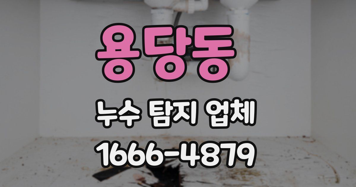 용당동 누수 탐지 업체