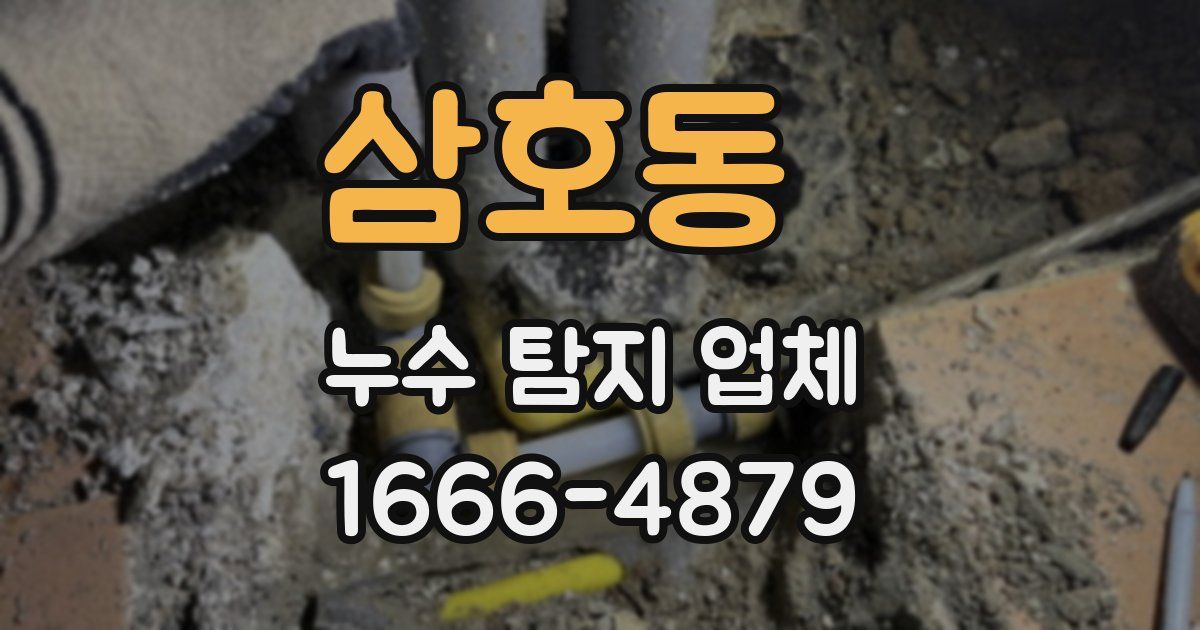 삼호동 누수 탐지 업체
