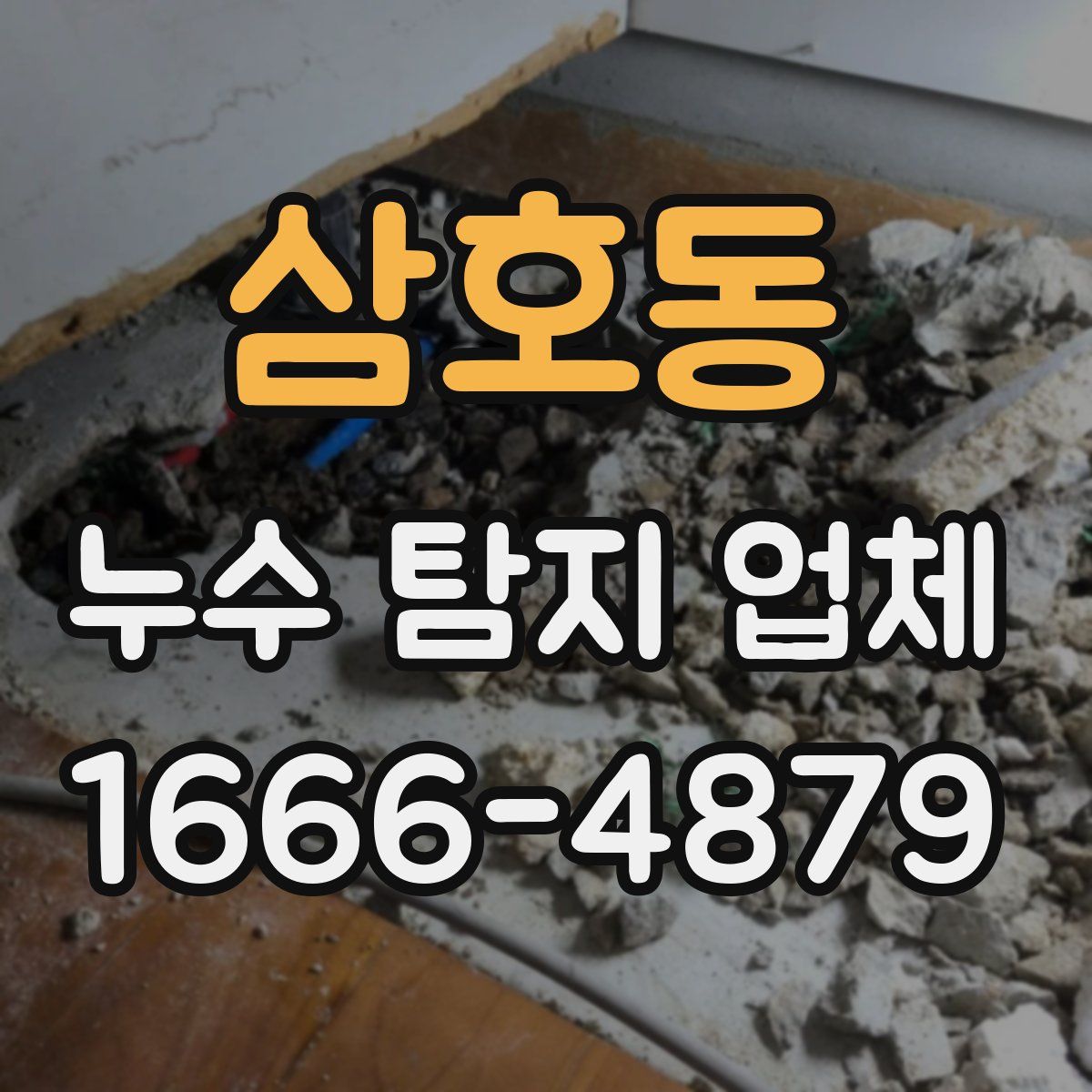 삼호동 누수 탐지 업체