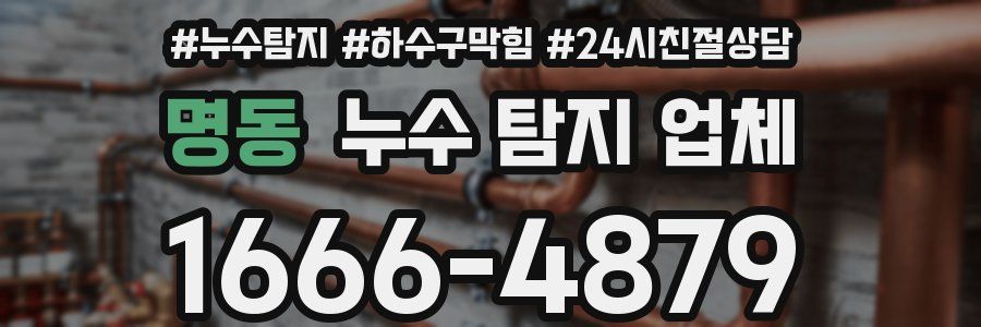 명동 누수 탐지 업체