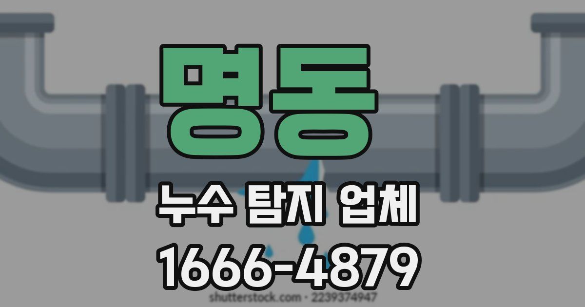 명동 누수 탐지 업체