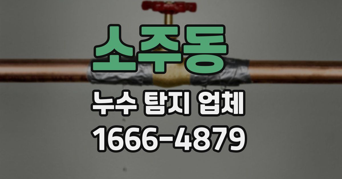 소주동 누수 탐지 업체