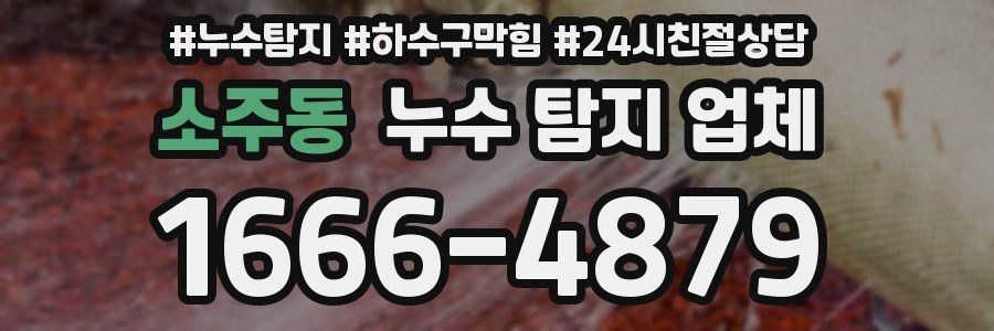 소주동 누수 탐지 업체