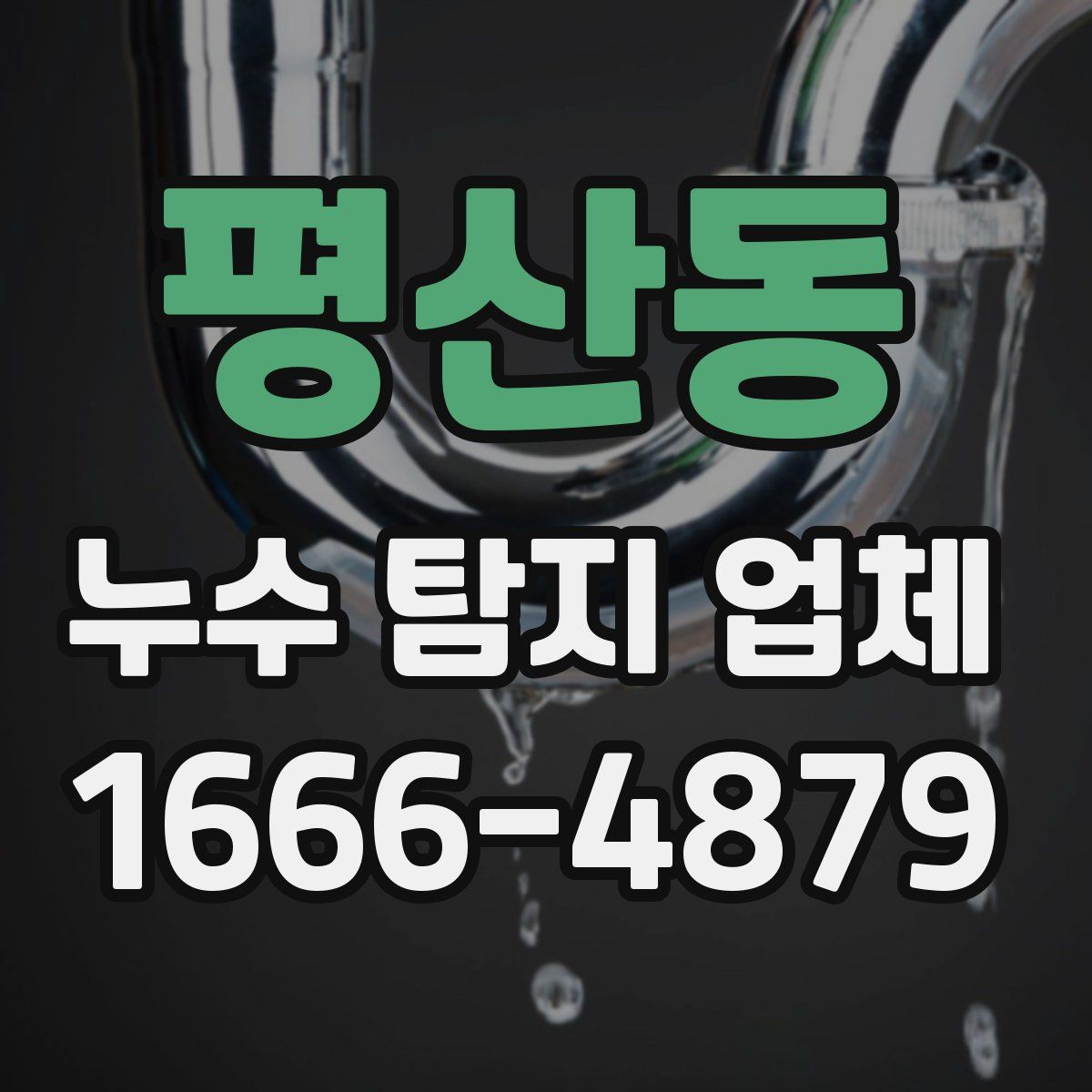 평산동 누수 탐지 업체