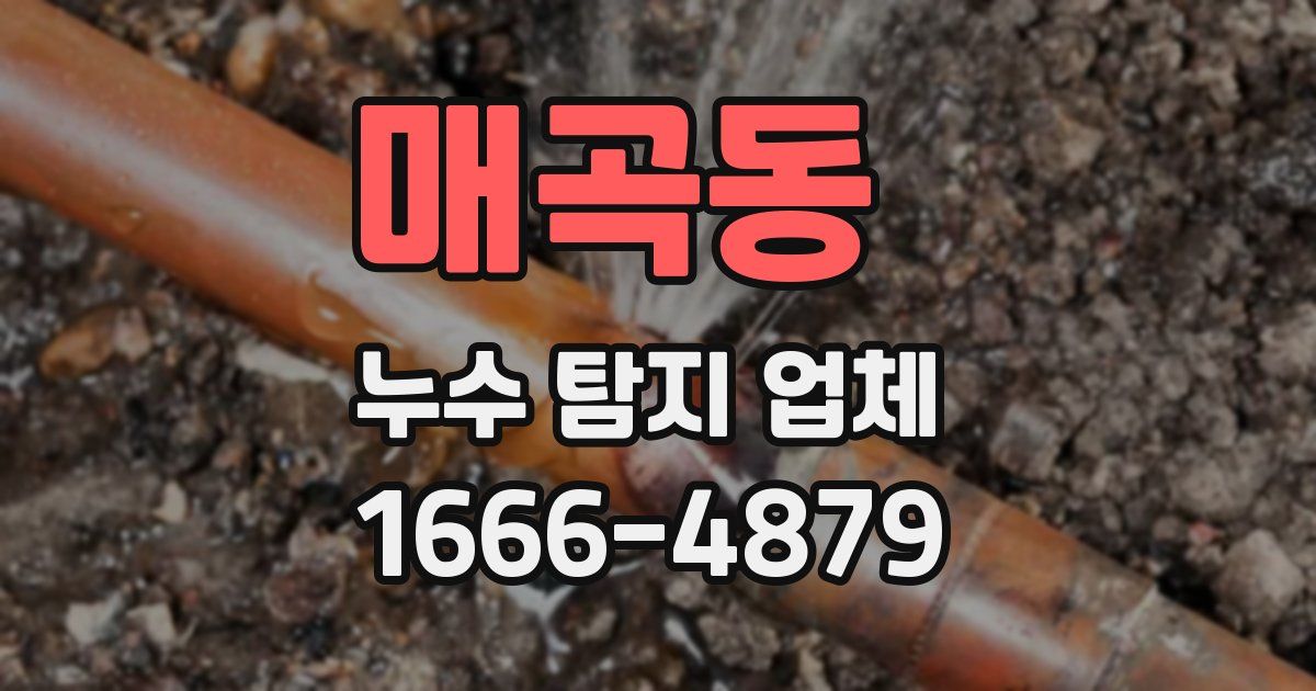 매곡동 누수 탐지 업체
