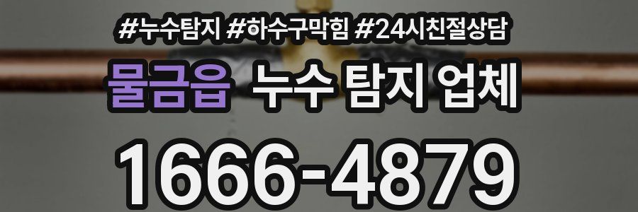 물금읍 누수 탐지 업체