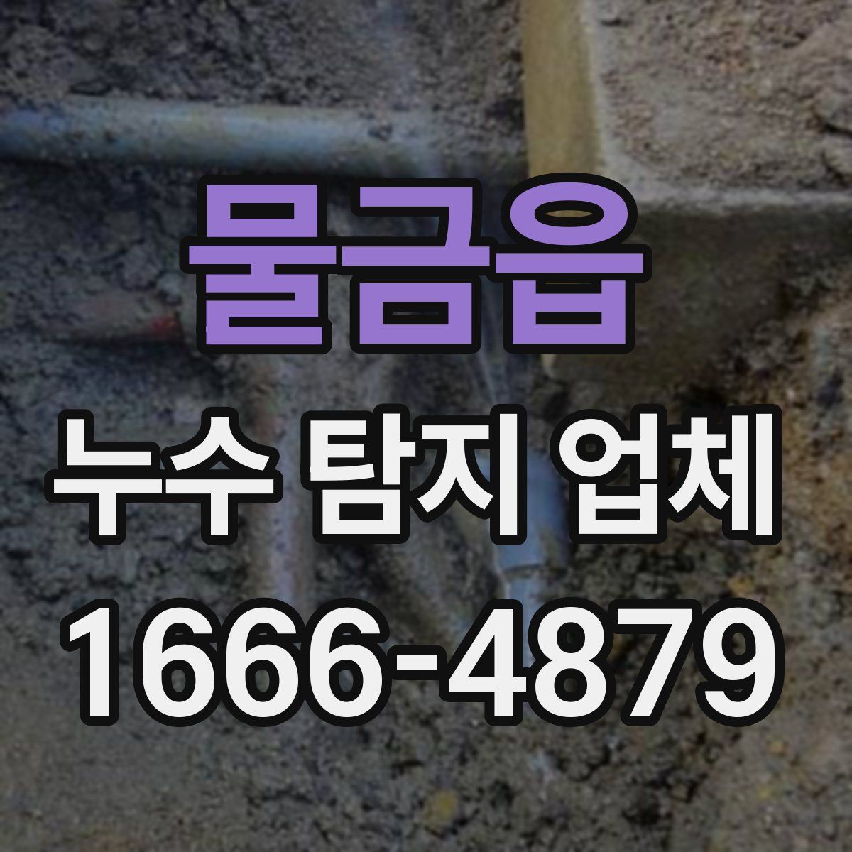 물금읍 누수 탐지 업체