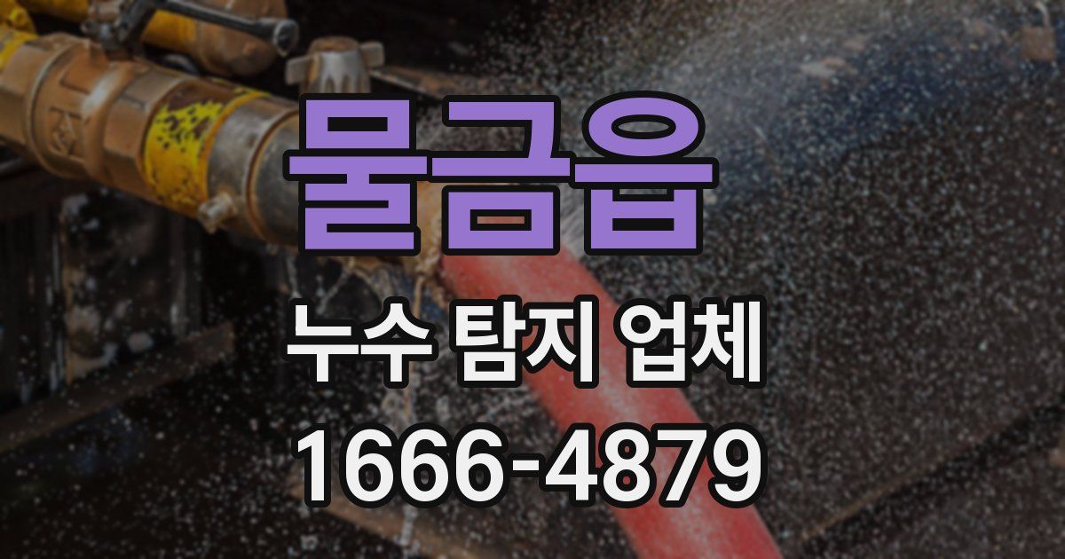 물금읍 누수 탐지 업체
