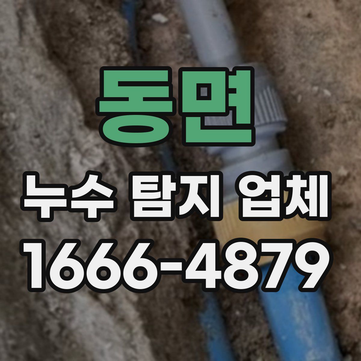 동면 누수 탐지 업체