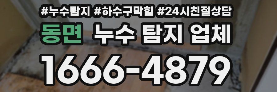 동면 누수 탐지 업체