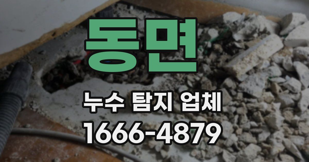 동면 누수 탐지 업체