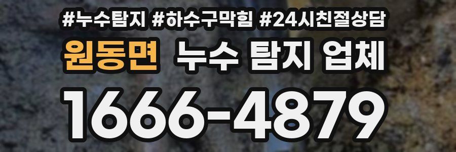 원동면 누수 탐지 업체