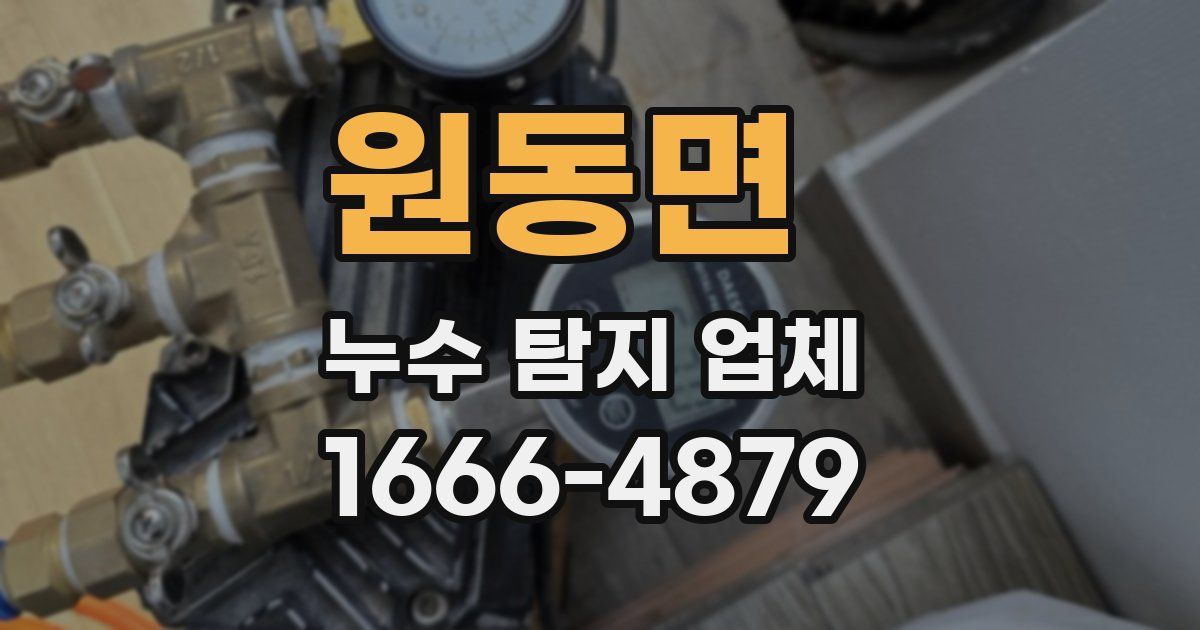 원동면 누수 탐지 업체