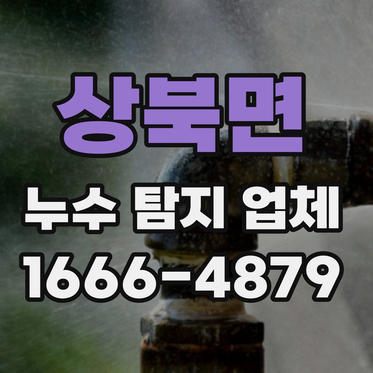 상북면 누수 탐지 업체