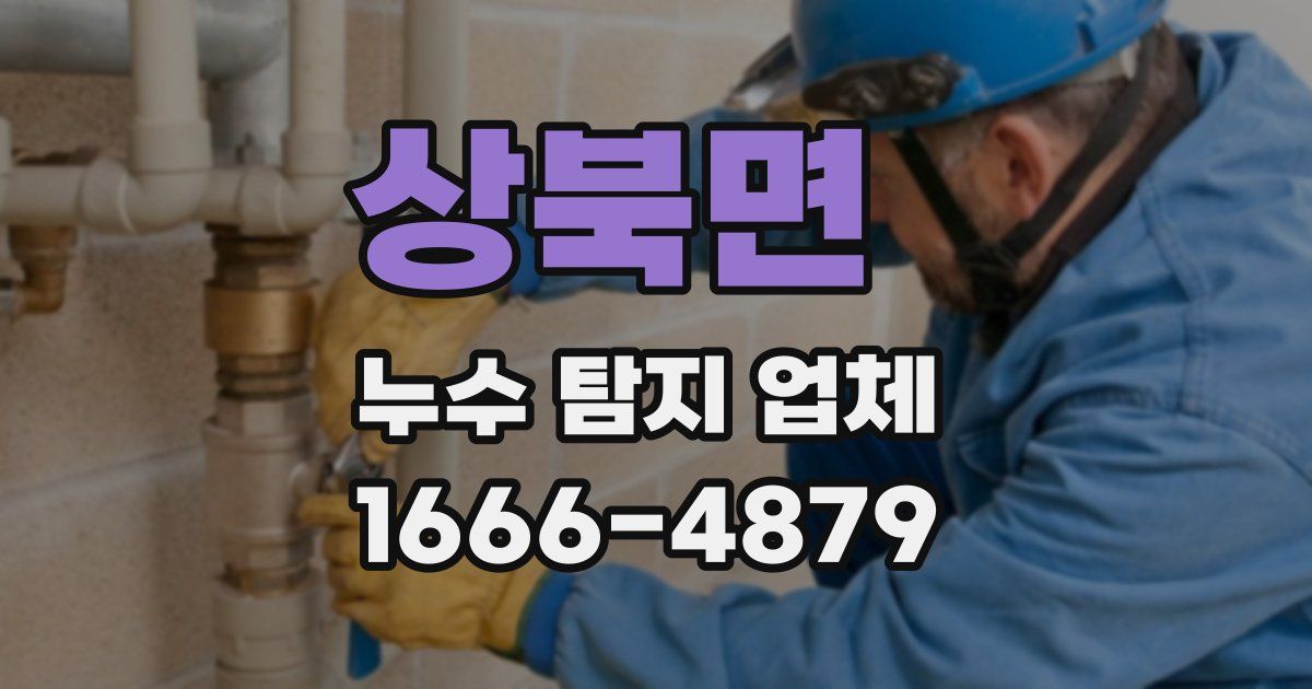 상북면 누수 탐지 업체