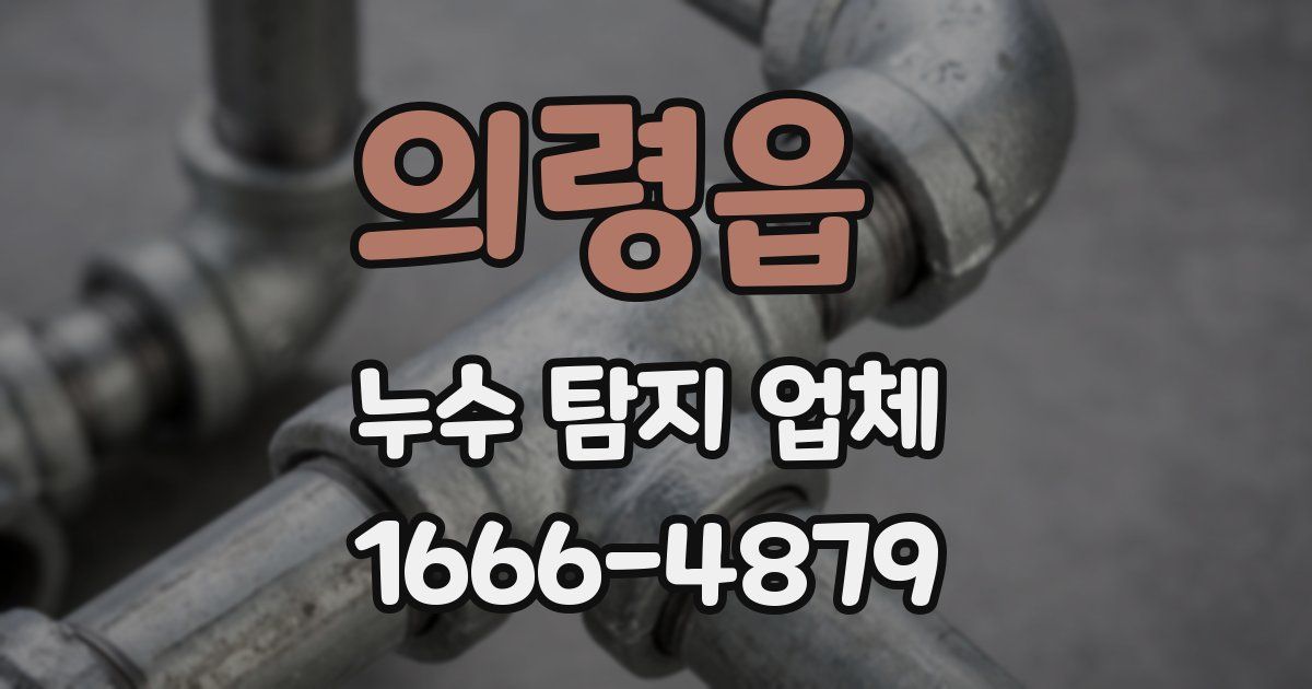 의령읍 누수 탐지 업체