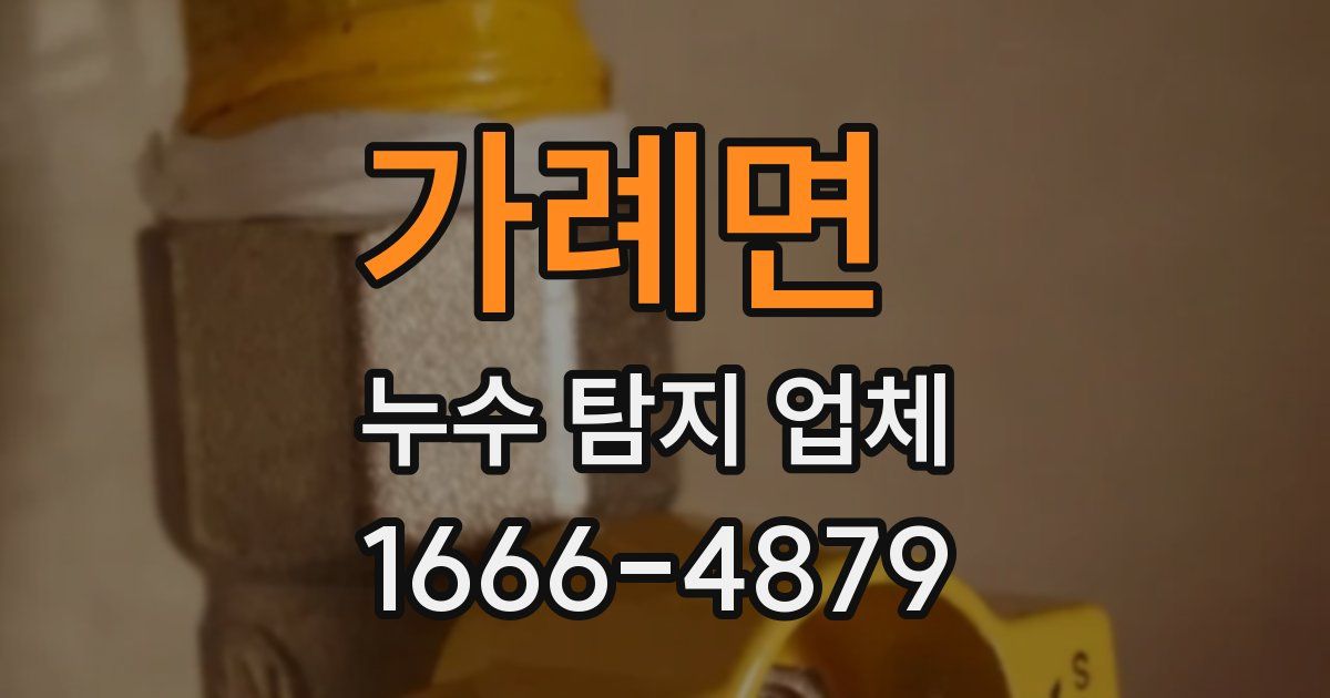 가례면 누수 탐지 업체