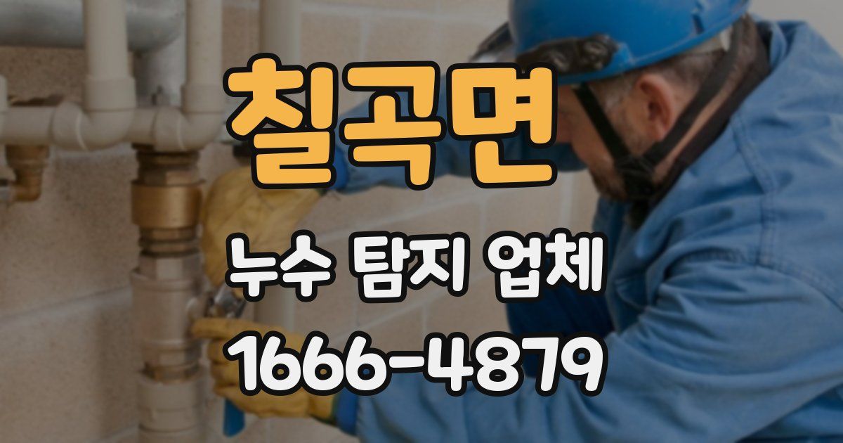 칠곡면 누수 탐지 업체