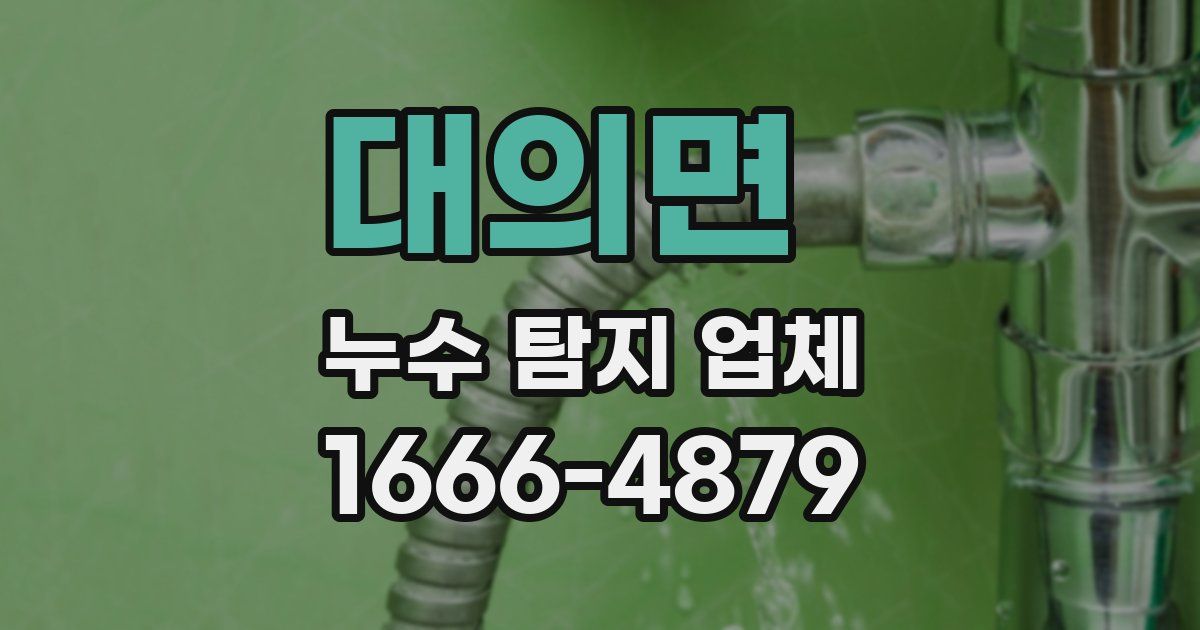 대의면 누수 탐지 업체