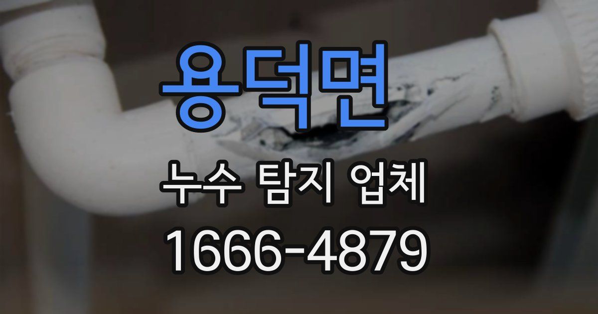 용덕면 누수 탐지 업체