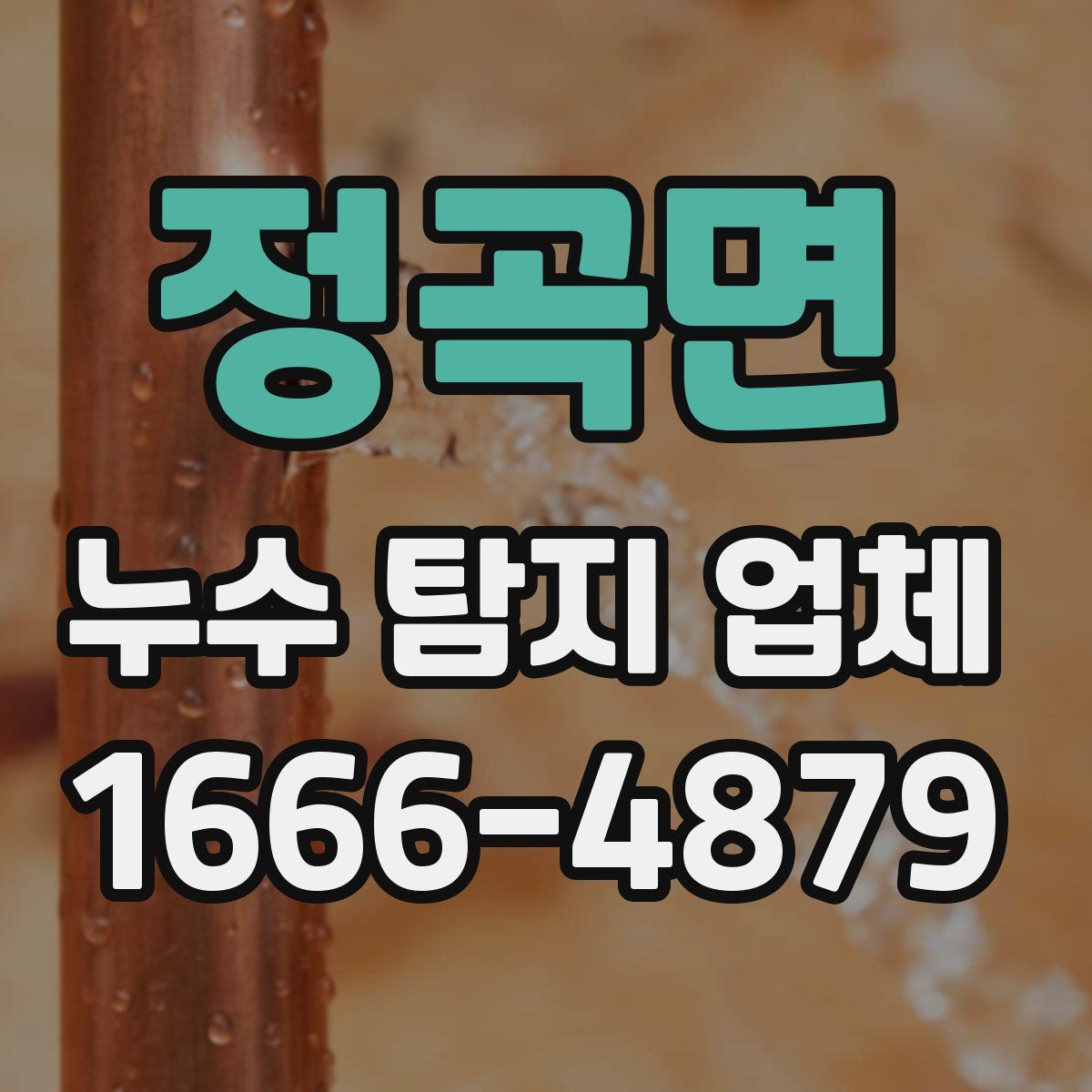 정곡면 누수 탐지 업체
