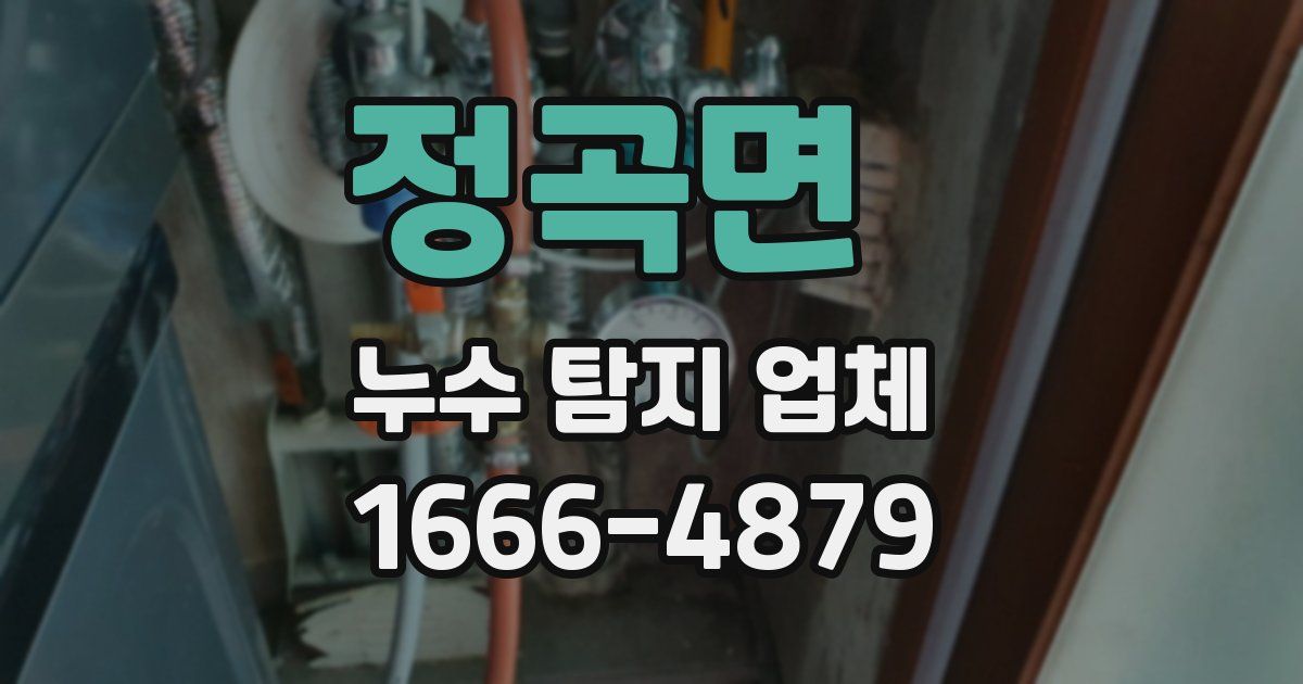 정곡면 누수 탐지 업체