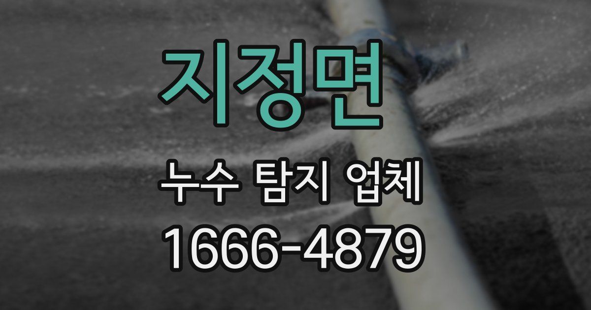 지정면 누수 탐지 업체