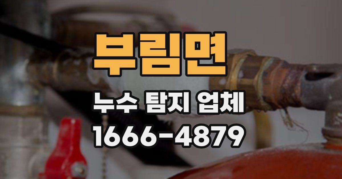 부림면 누수 탐지 업체