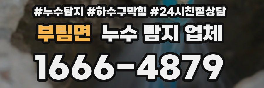 부림면 누수 탐지 업체