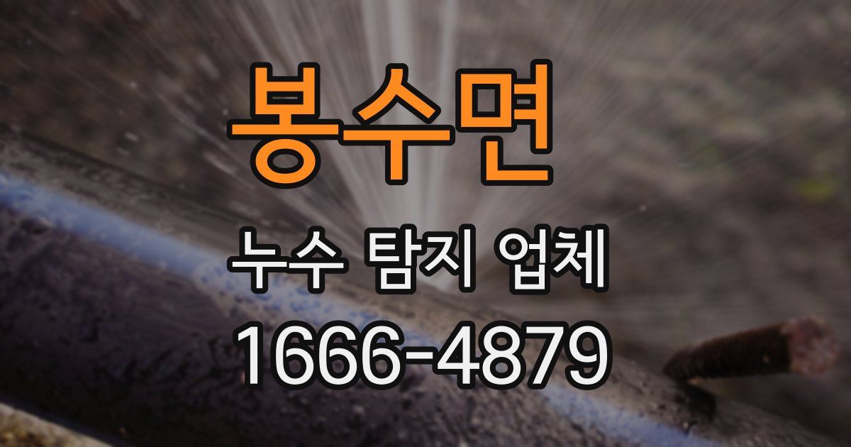 봉수면 누수 탐지 업체