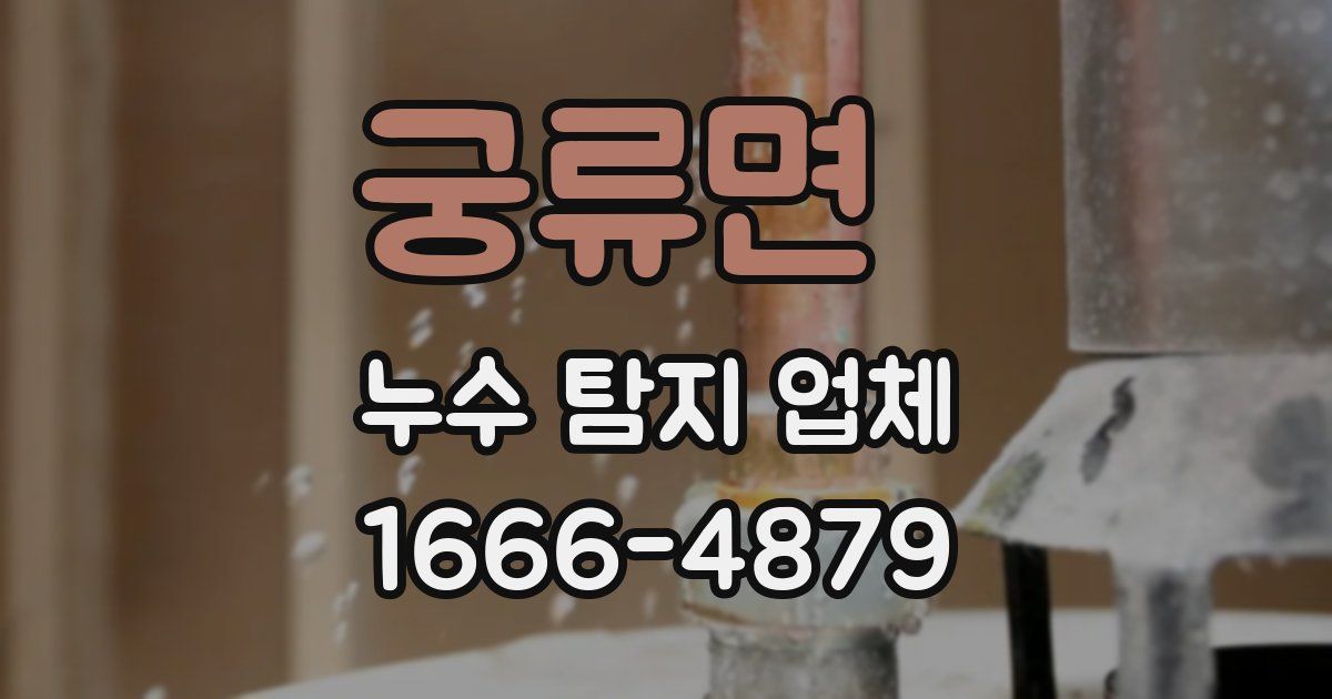 궁류면 누수 탐지 업체