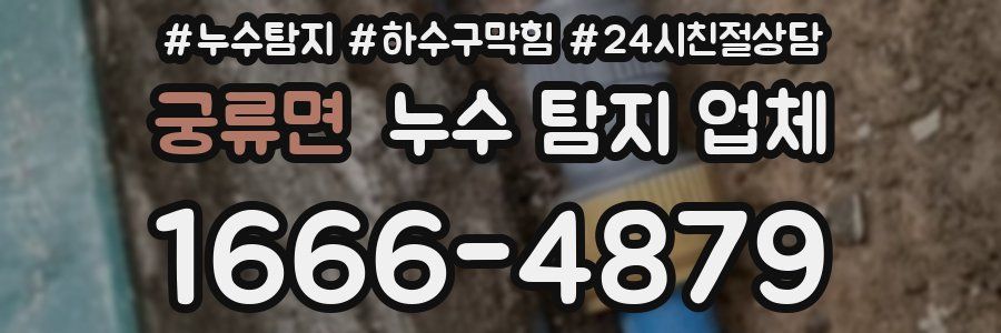 궁류면 누수 탐지 업체