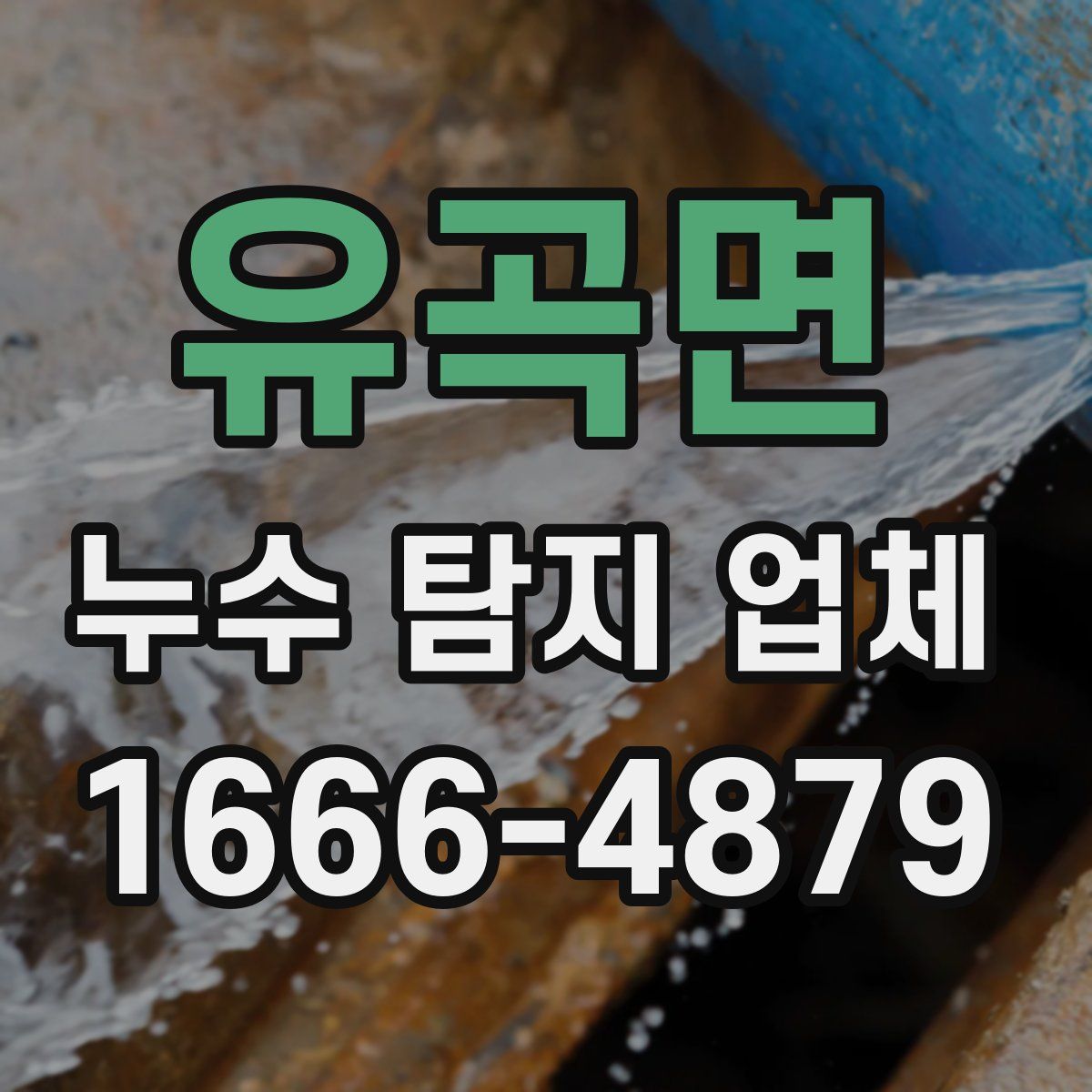 유곡면 누수 탐지 업체