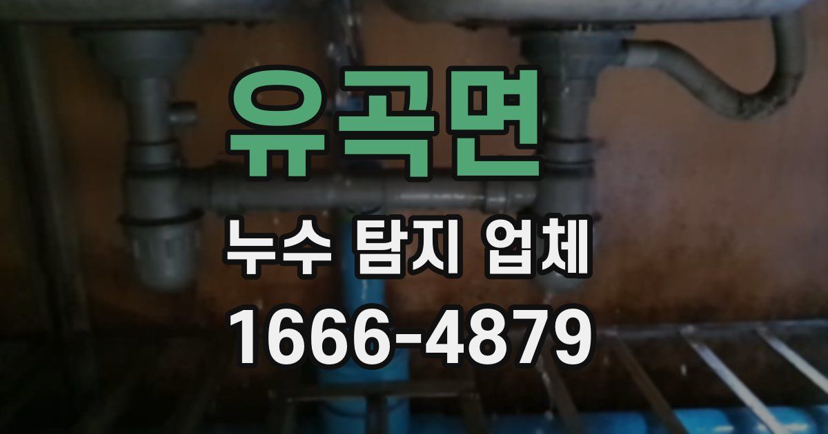 유곡면 누수 탐지 업체