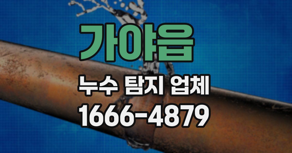 가야읍 누수 탐지 업체