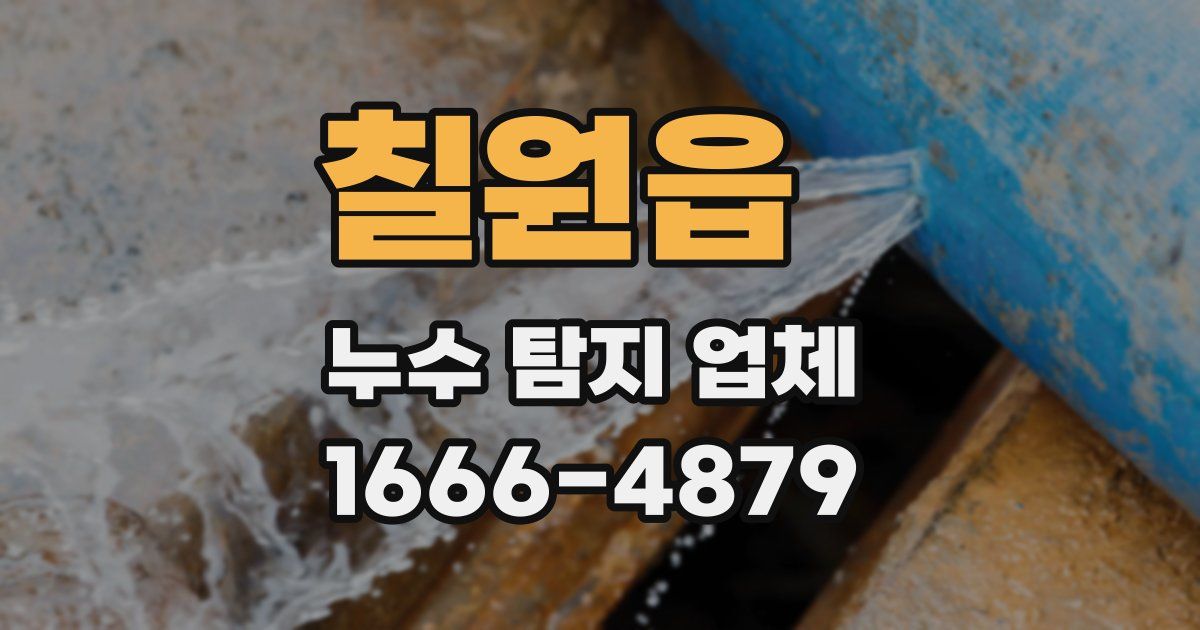 칠원읍 누수 탐지 업체