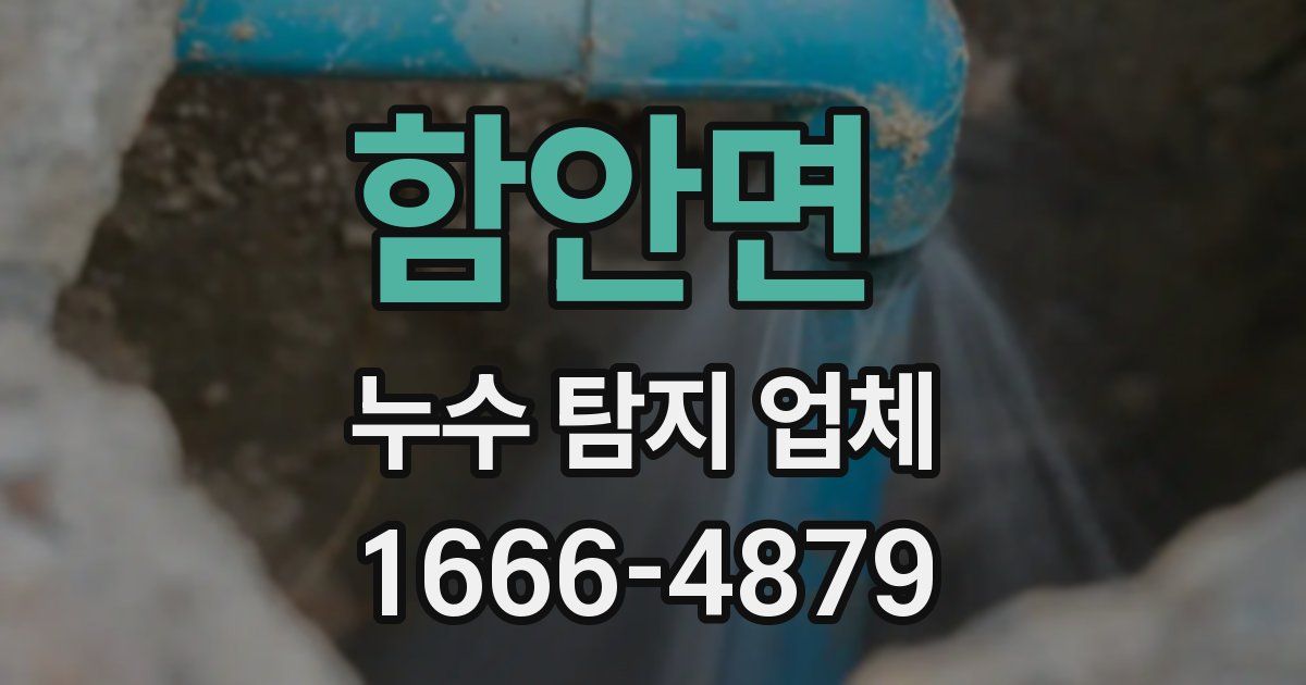함안면 누수 탐지 업체