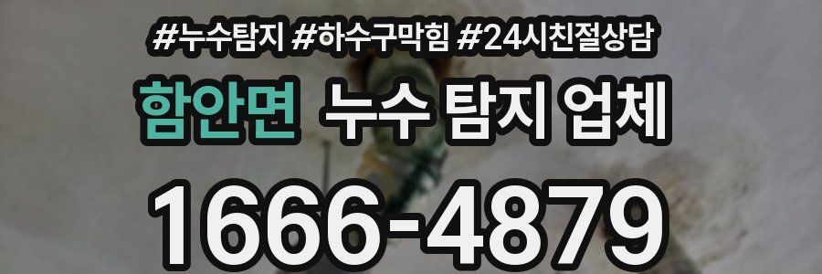함안면 누수 탐지 업체