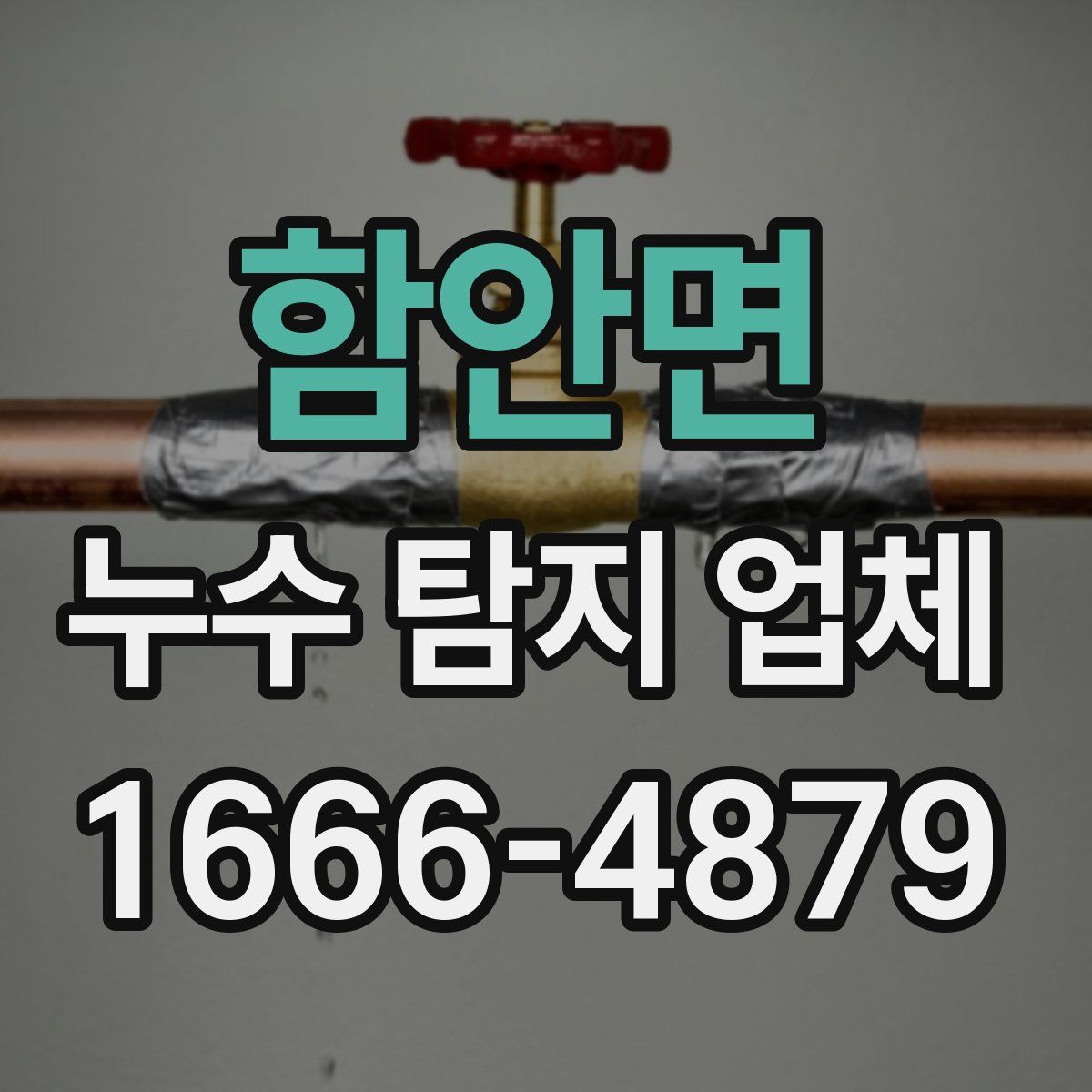 함안면 누수 탐지 업체
