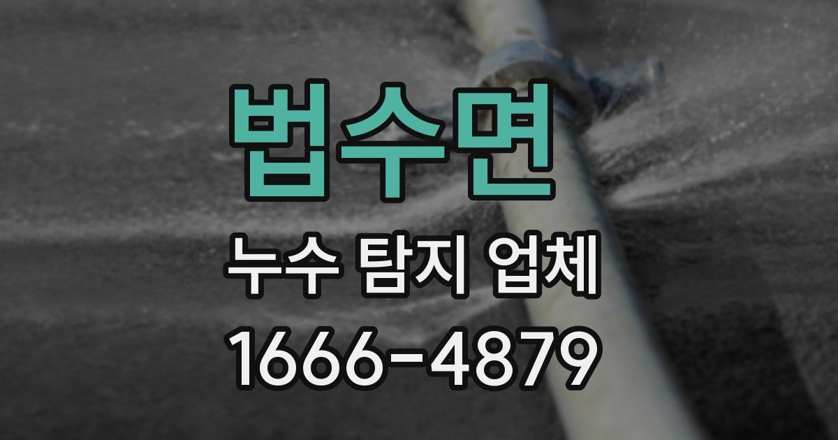 법수면 누수 탐지 업체