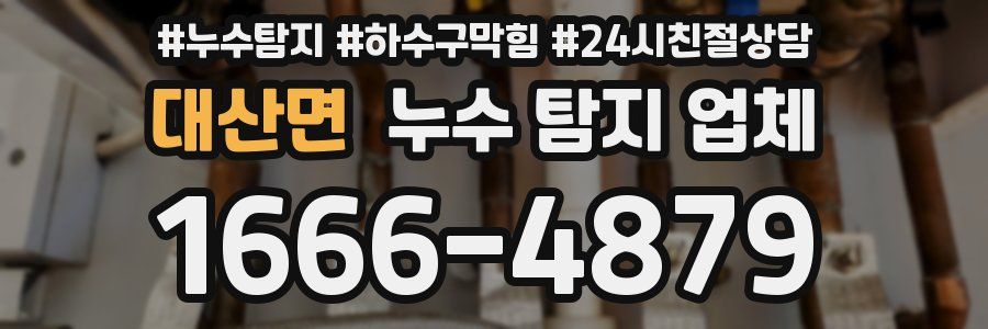 대산면 누수 탐지 업체