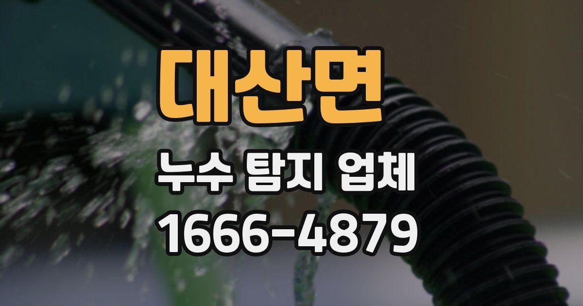 대산면 누수 탐지 업체