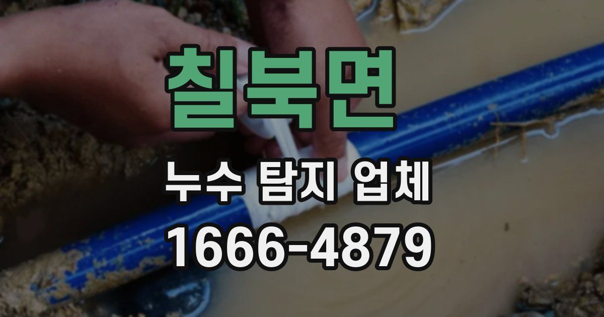 칠북면 누수 탐지 업체