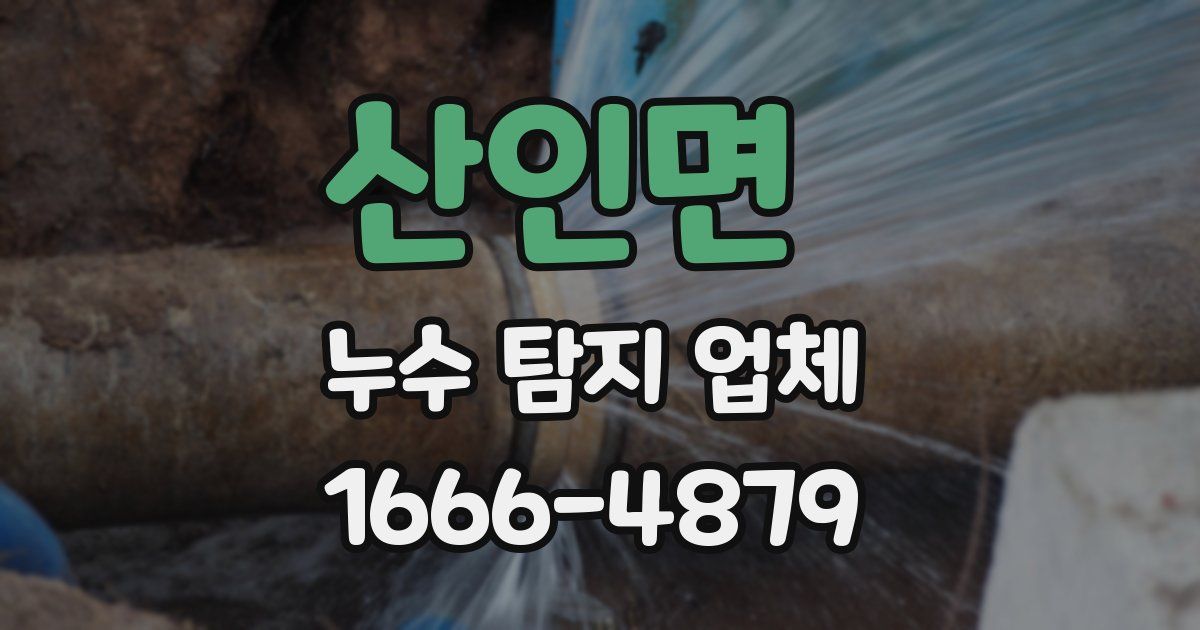 산인면 누수 탐지 업체