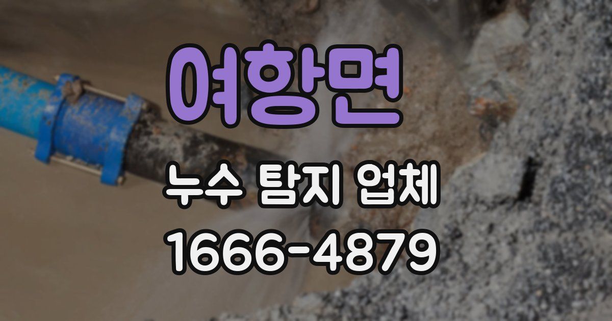 여항면 누수 탐지 업체