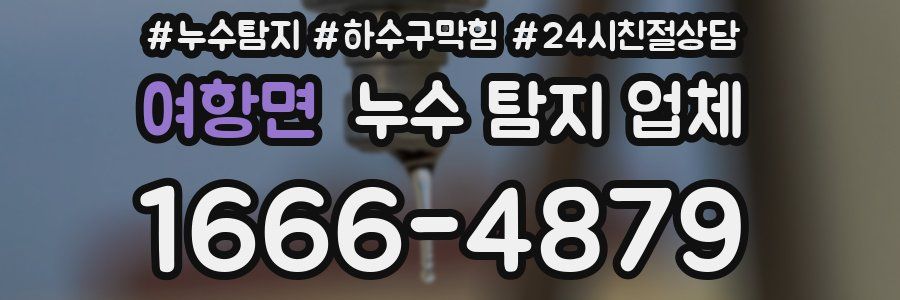 여항면 누수 탐지 업체