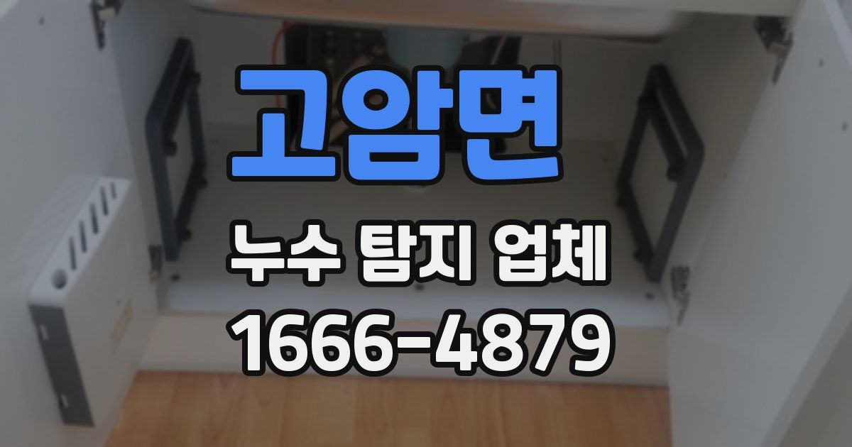 고암면 누수 탐지 업체