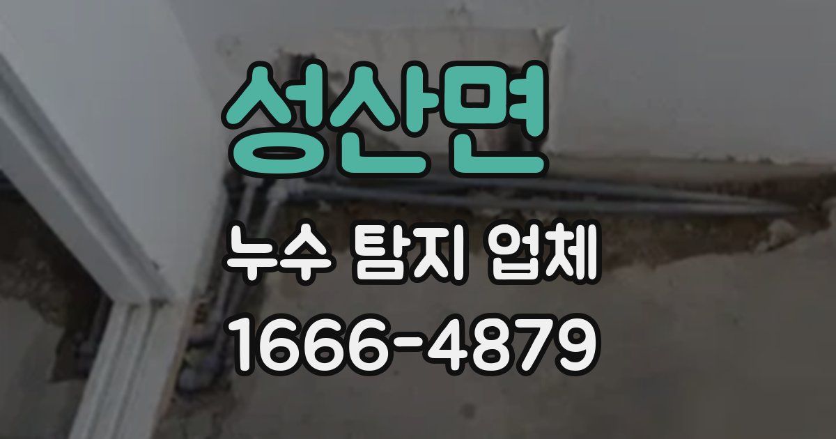성산면 누수 탐지 업체