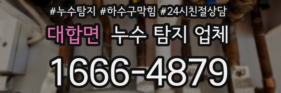 대합면 누수 탐지 업체